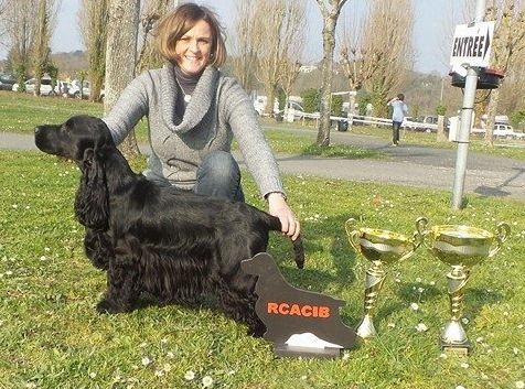 Of Only Perfect - EXPOSITION CANINE INTERNATIONALE DE PERIGUEUX