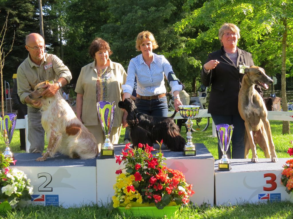 Of Only Perfect - BEST IN SHOW JEUNE A LIBOURNE